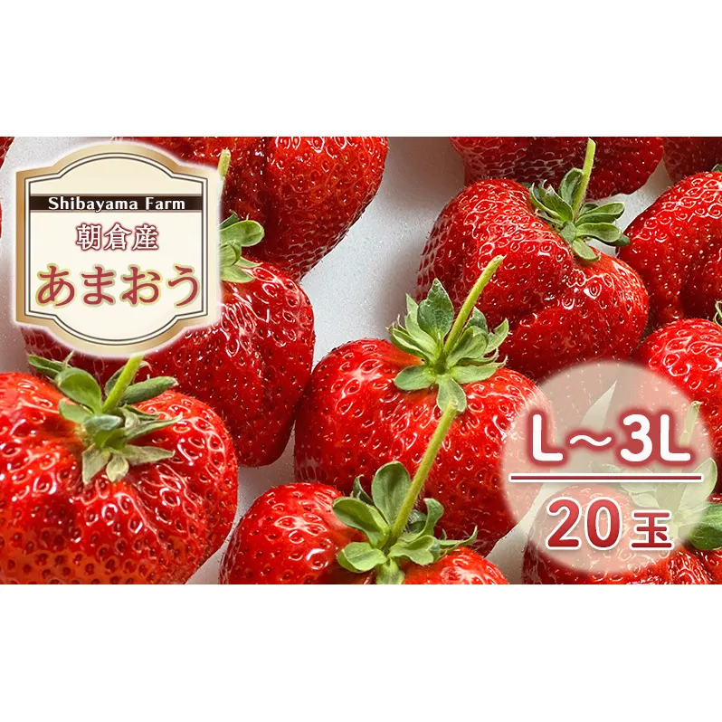 いちご 朝倉市産 あまおう L～3L 20玉 イチゴ 苺 果物 デザート ＜Shibayama Farm＞ ※配送不可：離島