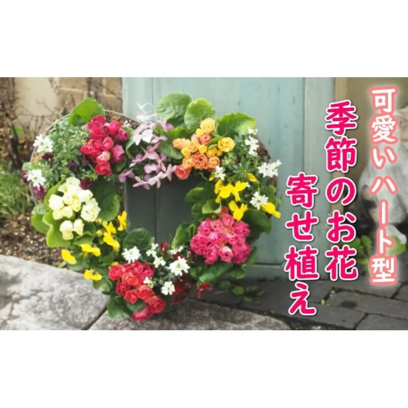 リース 季節のお花 寄せ植え (ハート型リース) 花 お花 寄植え ガーデン