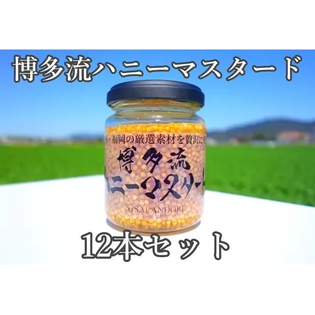 博多流 ハニーマスタード 130g×12本 調味料 缶詰 