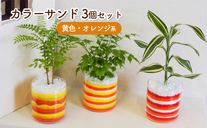 カラーサンド 3個 セット 黄色・オレンジ系 植物 インテリア ガーデン ｜朝倉市｜福岡県｜返礼品をさがす｜まいふる by AEON CARD