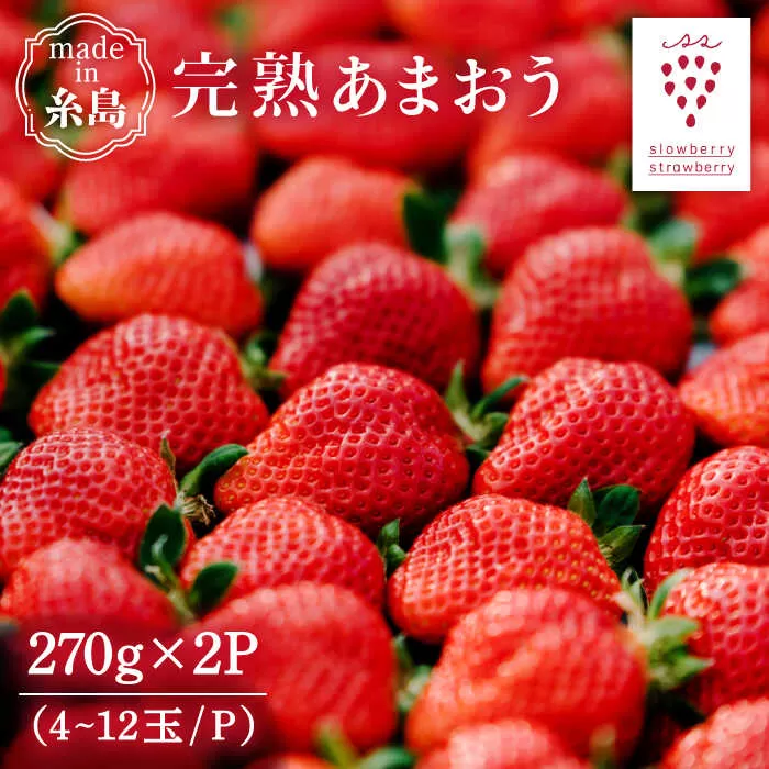 【予約：2025年1月上旬より順次発送】完熟あまおう 270g × 2パック 糸島市 / slowberry strawberry [APJ002] 苺 あまおう イチゴ