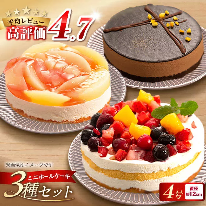 フルーツ / チョコムース / レアチーズ ホールケーキ 3種 冷凍 糸島市 / 五洋食品産業 [AQD017] ランキング 上位 人気 おすすめ