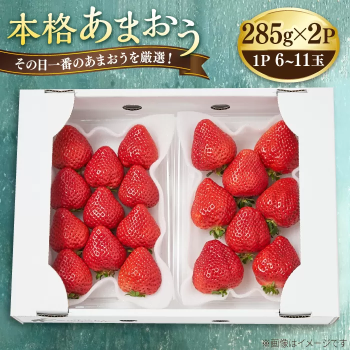 【その日一番のあまおうを即日出荷！】 本格 あまおう (285g×2パック) いちご 苺 糸島市 / みのりのりん [ABD002]