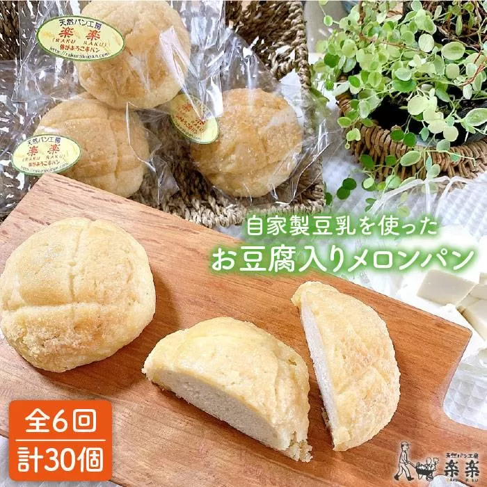 【 全6回 定期便 】自家製 豆乳 を使った お 豆腐 入り の メロンパン ( 卵 / 乳製品 不使用 )《糸島》【天然パン工房楽楽】【いとしまごころ】[AVC045]