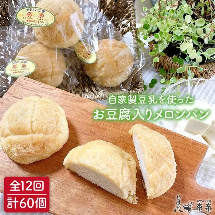 【 全12回 定期便 】自家製 豆乳 を使った お 豆腐 入り の メロンパン ( 卵 / 乳製品 不使用 )《糸島》【天然パン工房楽楽】【いとしまごころ】 [AVC046]