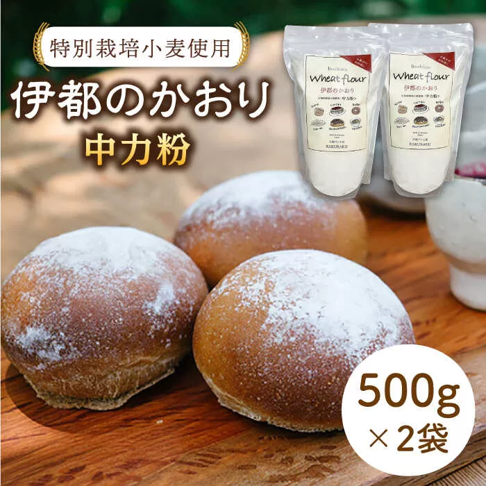 特別 栽培 小麦 使用「 伊都のかおり 」 500g × 2袋 《糸島》【天然パン工房楽楽】 【いとしまごころ】[AVC052]