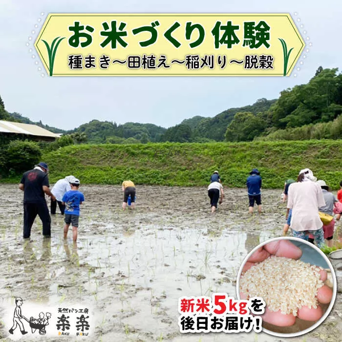 お米づくり 体験チケット 糸島市 / 天然パン工房楽楽【いとしまごころ】 [AVC065] 体験型 農業 食育