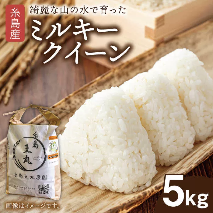 糸島産 ミルキークイーン 5kg 糸島市/糸島王丸農園( 谷口汰一 )[いとしまごころ] 米 玄米 