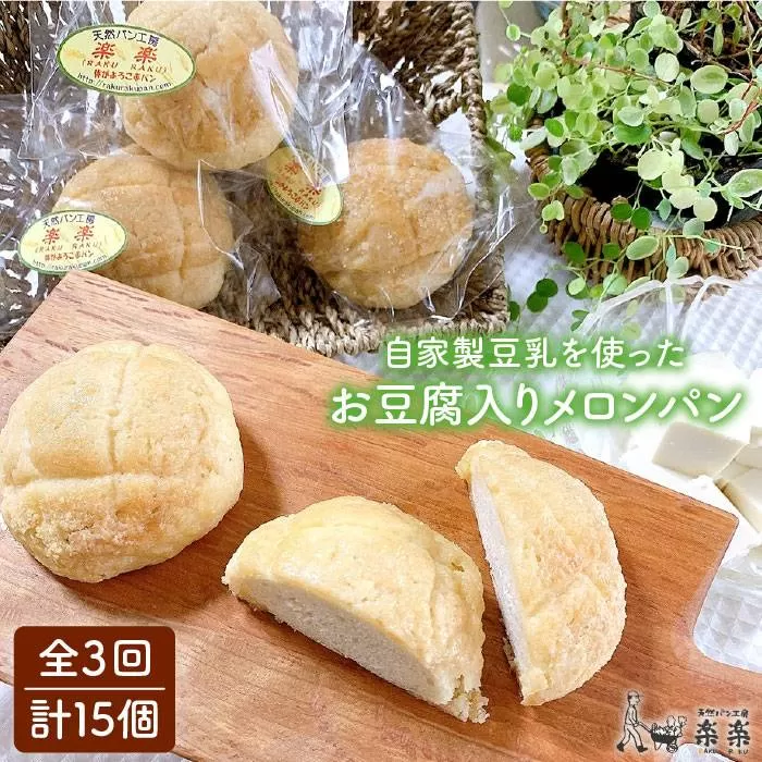 【 全3回 定期便 】自家製 豆乳 を使った お 豆腐 入り の メロンパン ( 卵 / 乳製品 不使用 )《糸島》【天然パン工房楽楽】【いとしまごころ】[AVC044]