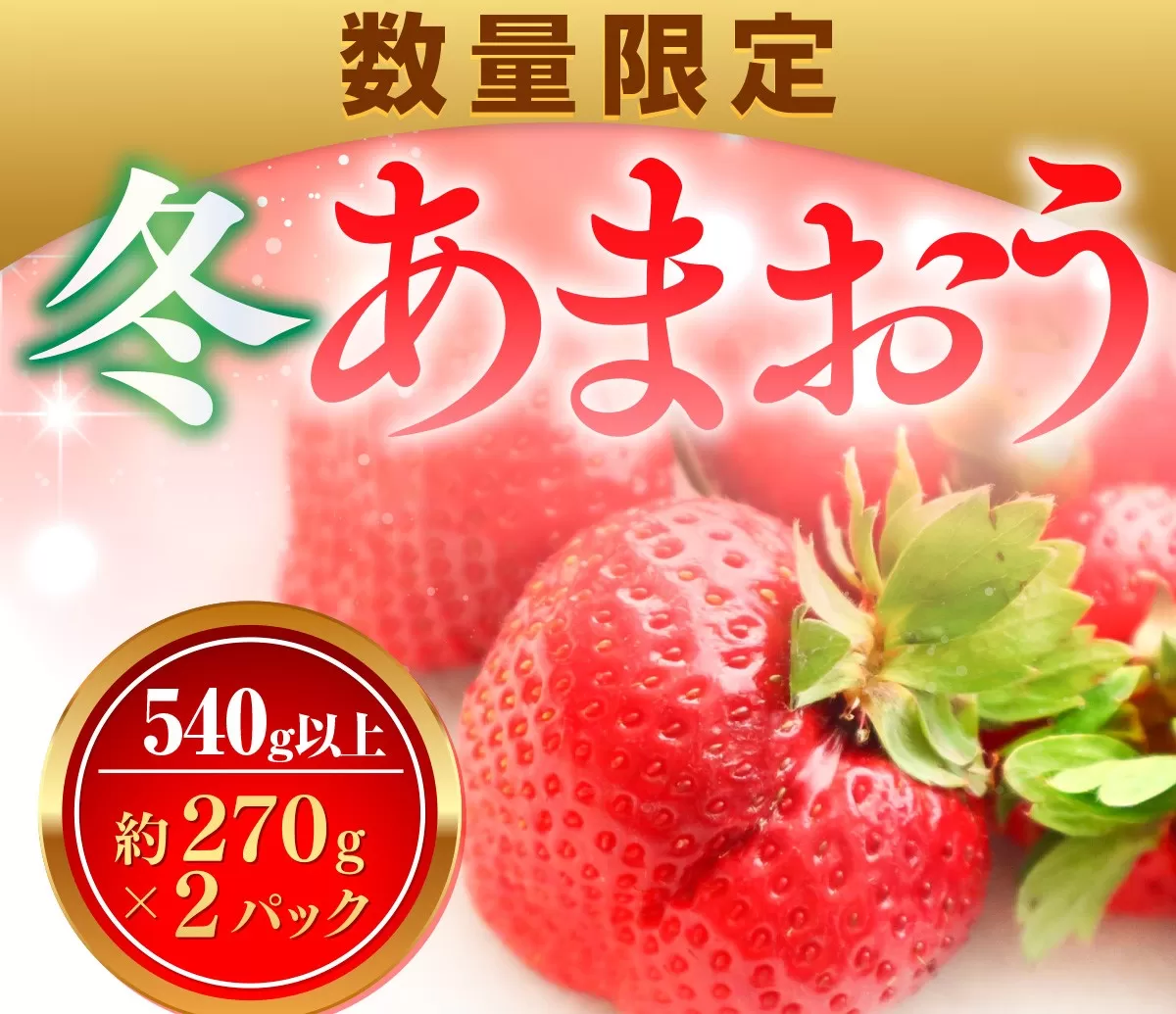 数量限定 冬あまおう２パック 540ｇ以上（270g以上×2）農家直 アフター保証 イチゴ 苺 いちご 福岡 博多あまおう フルーツ　2025年1月中旬より順次発送 VZ003