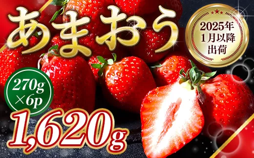 福岡県産 あまおう 1620g 送料無料 いちご 果物 フルーツ ギフト 季節限定 スイーツ ケーキ ブランド 先行予約 2025年1月以降より順次発送 TY052-3