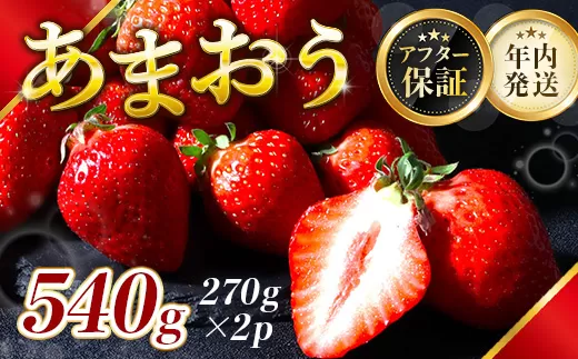 福岡県産 あまおう 540g 送料無料 いちご 果物 フルーツ ギフト 季節限定 スイーツ ケーキ ブランド 先行予約 2024年12月より順次発送 TY050-1