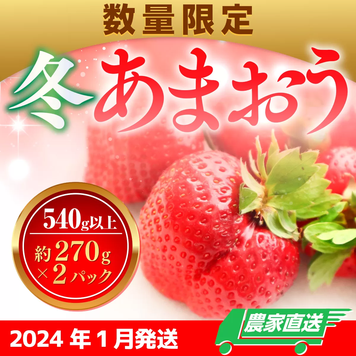 数量限定 冬あまおう２パック 540ｇ以上（270g以上×2）農家直送・年内お届け アフター保証 イチゴ 苺 いちご 福岡 博多あまおう フルーツ　2024年1月中旬より順次発送 VZ003