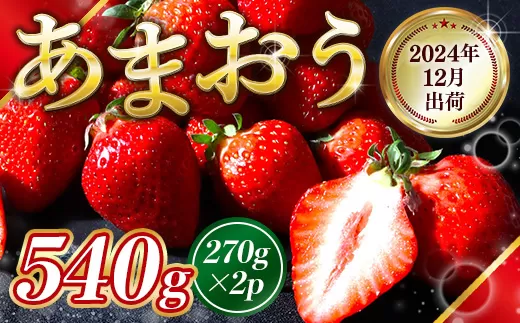 福岡県産 あまおう 540g 送料無料 いちご 果物 フルーツ ギフト 季節限定 スイーツ ケーキ ブランド 先行予約 2024年12月より順次発送 TY050-1