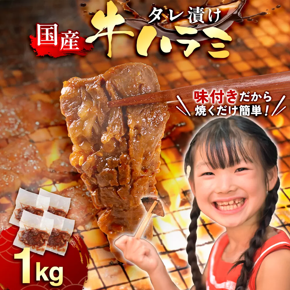 国産 特製たれ漬 牛ハラミ サガリ １kg JX003-4
