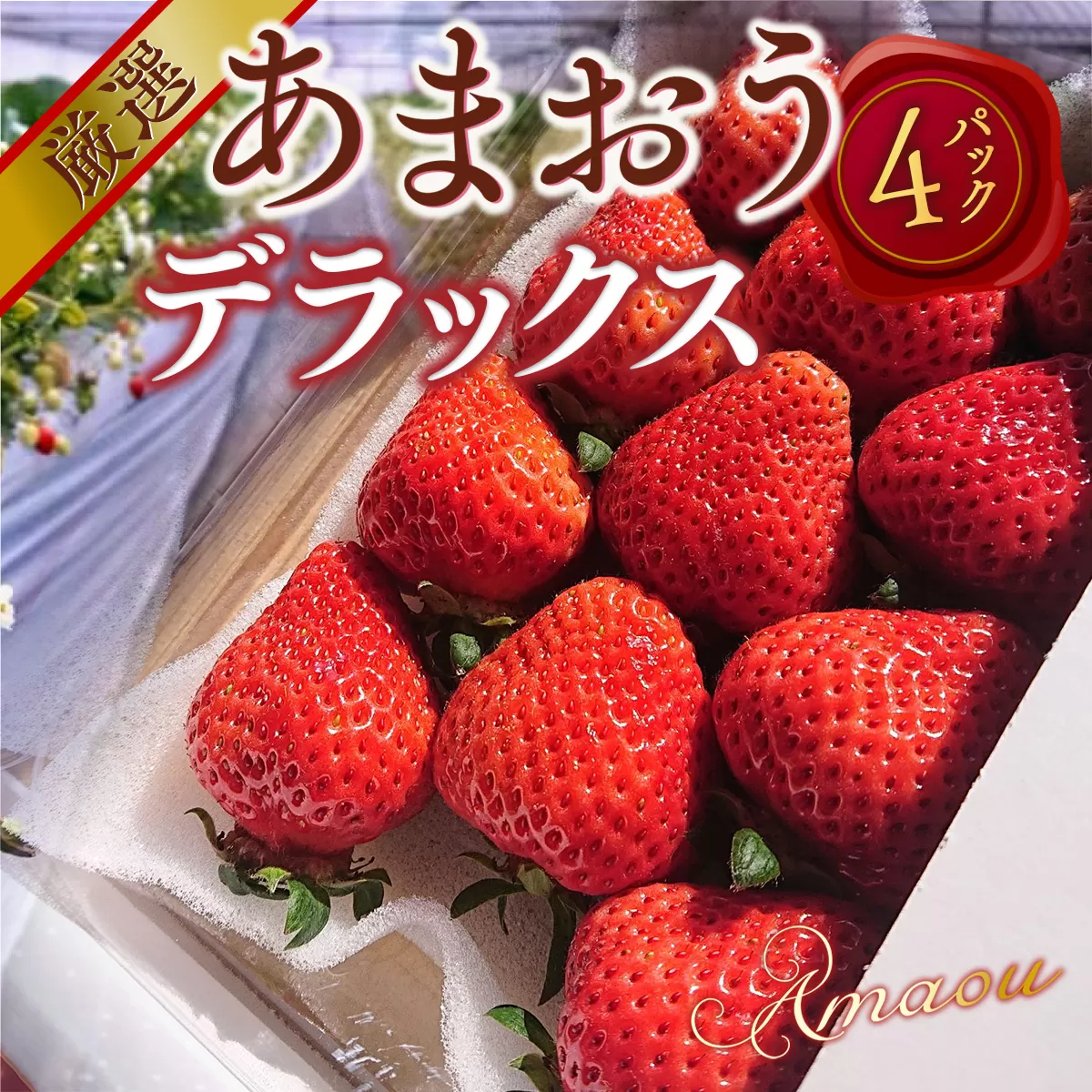 あまおうデラックス（4パック）先行予約　※2025年2月上旬〜4月上旬にかけて順次出荷予定　MY002