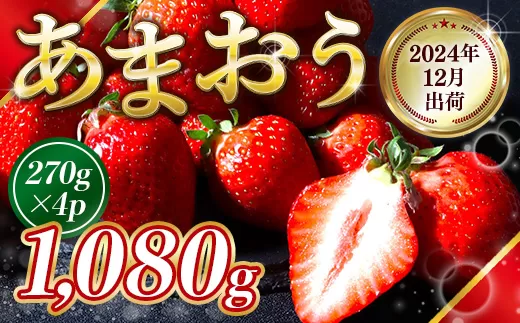 福岡県産 あまおう 1080g 送料無料 いちご 果物 フルーツ ギフト 季節限定 スイーツ ケーキ ブランド 先行予約 2024年12月より順次発送 TY050-2