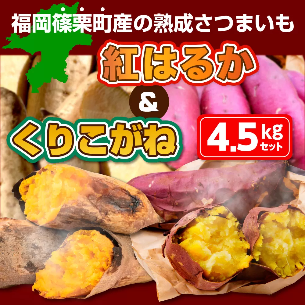 福岡篠栗町産の熟成さつまいも「紅はるか」「くりこがね」４.５㎏セット　YX005