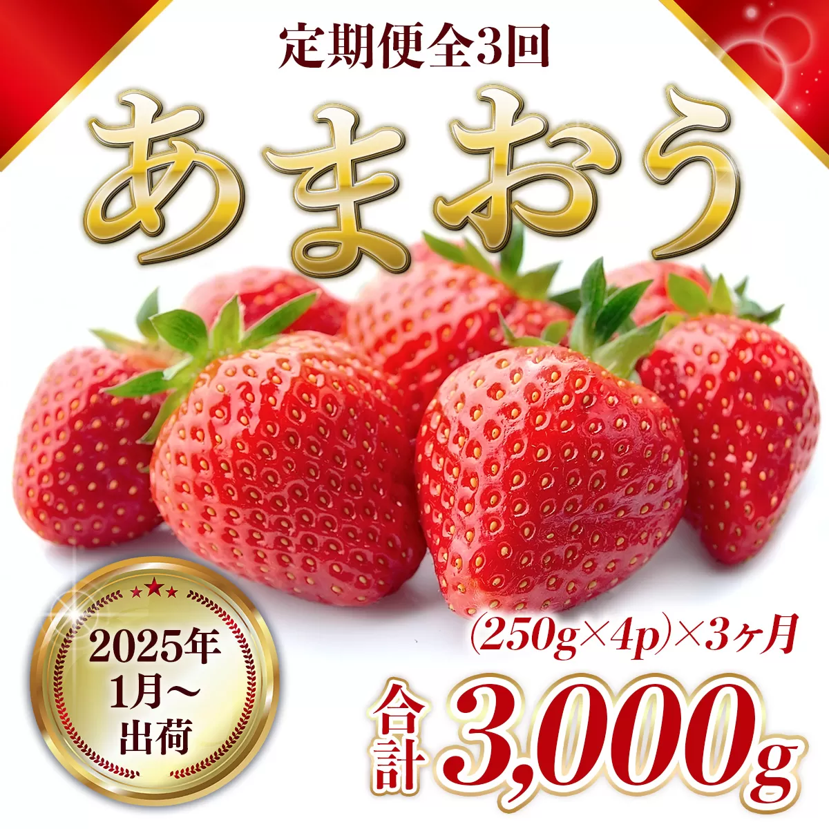 MZ050　定期便全3回 福岡県産 あまおう 合計3000g 先行予約 2025年1月より順次発送