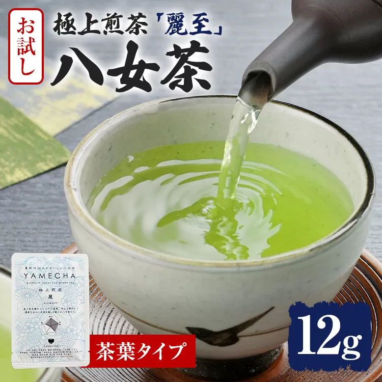 お試し企画【八女茶】原田茶園 極上煎茶 麗至 12g（茶葉タイプ） お試し 八女 極上 煎茶 福岡 茶葉 お茶