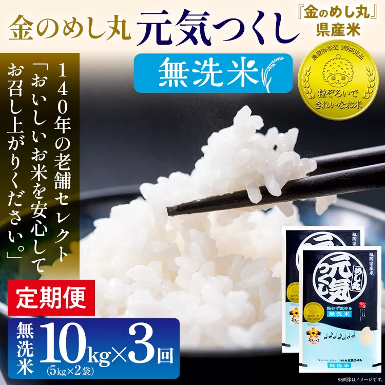 【無洗米】 金のめし丸 元気つくし 合計30kg 10kg (5kg×2袋) ×3回 定期便 白米 精米 お米 ご飯 米 精米 お取り寄せ 福岡 お土産 九州 福岡県産 グルメ 福岡県