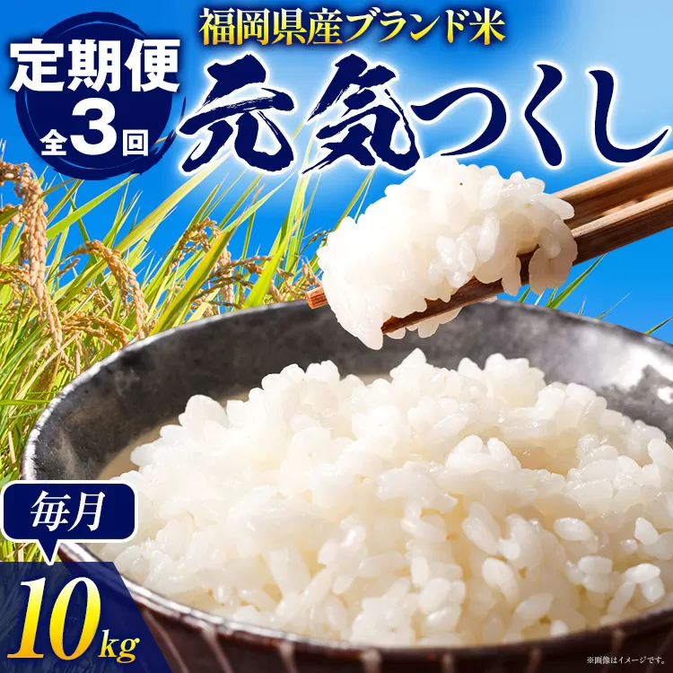 【3ヶ月 定期便】元気つくし 合計30kg 5kg×2袋(計10kg) ×3回 白米 お米 ご飯 米 精米 送料無料 お取り寄せグルメ お取り寄せ 福岡 お土産 九州 福岡土産 取り寄せ グルメ 福岡県