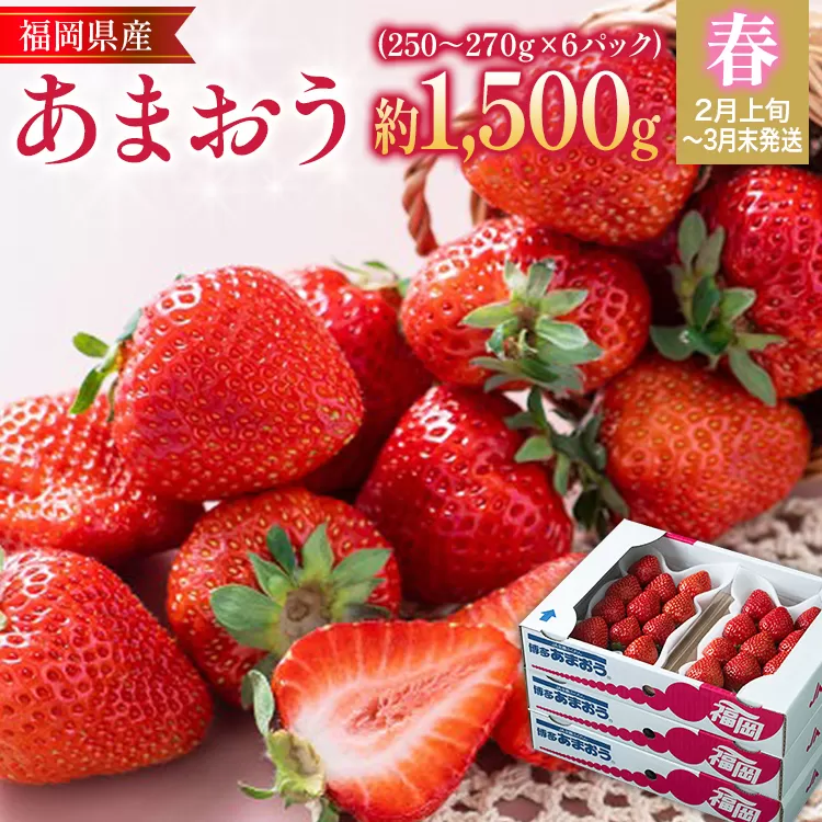 福岡産【春】あまおう 6パック 合計約1500g〜1620g 約1.5kg （1パックあたり約250g〜約270g） いちご 苺 果物 フルーツ 九州産 福岡県産 冷蔵 送料無料 【2月上旬発送開始予定】