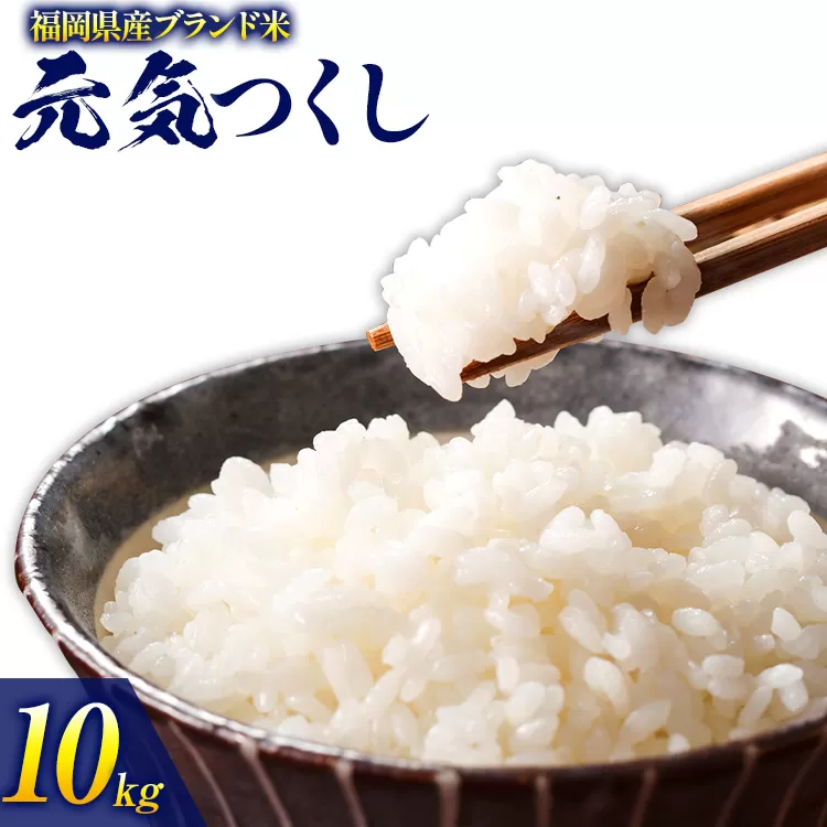 令和6年度産 福岡県産 元気つくし 10kg(5kg×2袋) 白米 お米 ご飯 米 精米 送料無料 お取り寄せグルメ お取り寄せ 福岡 お土産 九州 福岡土産 取り寄せ グルメ 福岡県