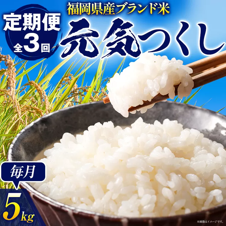 【3ヶ月 定期便】 元気つくし 合計15kg 5kg×3回 白米 お米 ご飯 米 精米 送料無料 お取り寄せグルメ お取り寄せ 福岡 お土産 九州 福岡土産 取り寄せ グルメ 福岡県