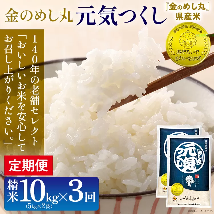 金のめし丸 元気つくし 合計30kg 10kg (5kg×2袋) ×3回 定期便 白米 精米 お米 ご飯 米 精米 お取り寄せ 福岡 お土産 九州 福岡県産 グルメ 福岡県