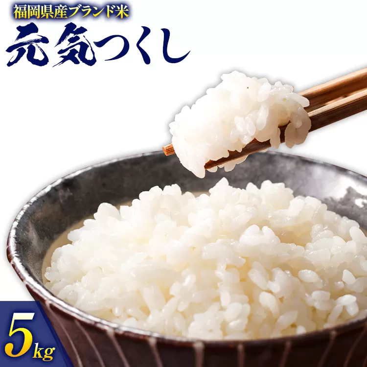 令和6年度産 福岡県産 元気つくし 5kg 1袋 白米 お米 ご飯 米 精米 送料無料 お取り寄せグルメ お取り寄せ 福岡 お土産 九州 福岡土産 取り寄せ グルメ 福岡県