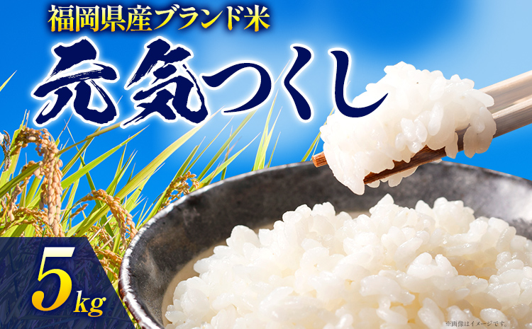 令和6年度産 福岡県産 元気つくし 5kg 1袋 白米 お米 ご飯 米 精米 送料無料 お取り寄せグルメ お取り寄せ 福岡 お土産 九州 福岡土産  取り寄せ グルメ 福岡県｜志免町｜福岡県｜返礼品をさがす｜まいふる by AEON CARD