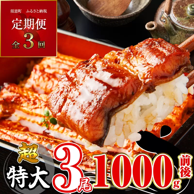 【定期便・全3回】ふっくらジューシー 有頭 うなぎ蒲焼 3尾 合計3000g 1000g前後×3回 SF013-2【福岡県須恵町】