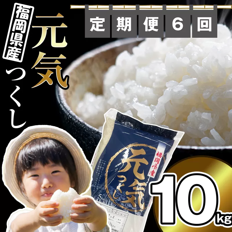 【 定期便 ・全6回 】【先行予約】〈令和6年産〉 福岡県産 ブランド 米「 元気つくし 」 合計 60kg ( 10kg × 6回 ) 毎月お届け NP005-1【福岡県須恵町】