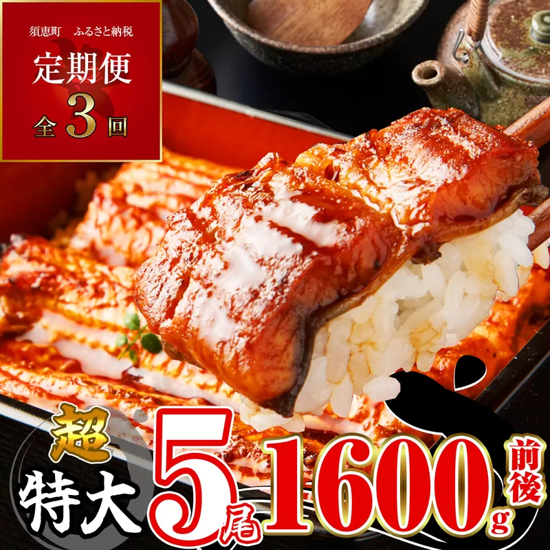 【定期便・全3回】ふっくらジューシー 有頭 うなぎ蒲焼 5尾 1600g×3回 SF060-1【福岡県須恵町】