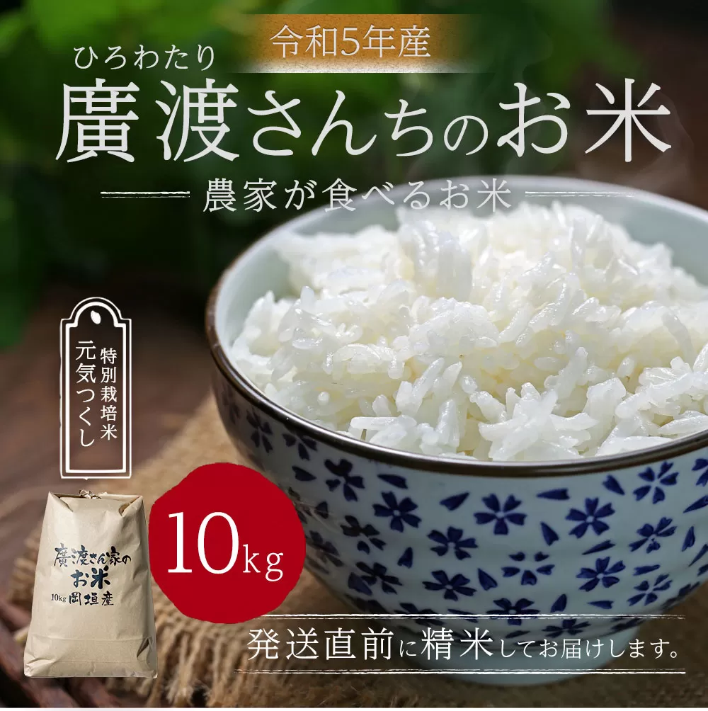 【令和5年産】農家が食べるお米「廣渡さんちのお米」10kg 精米