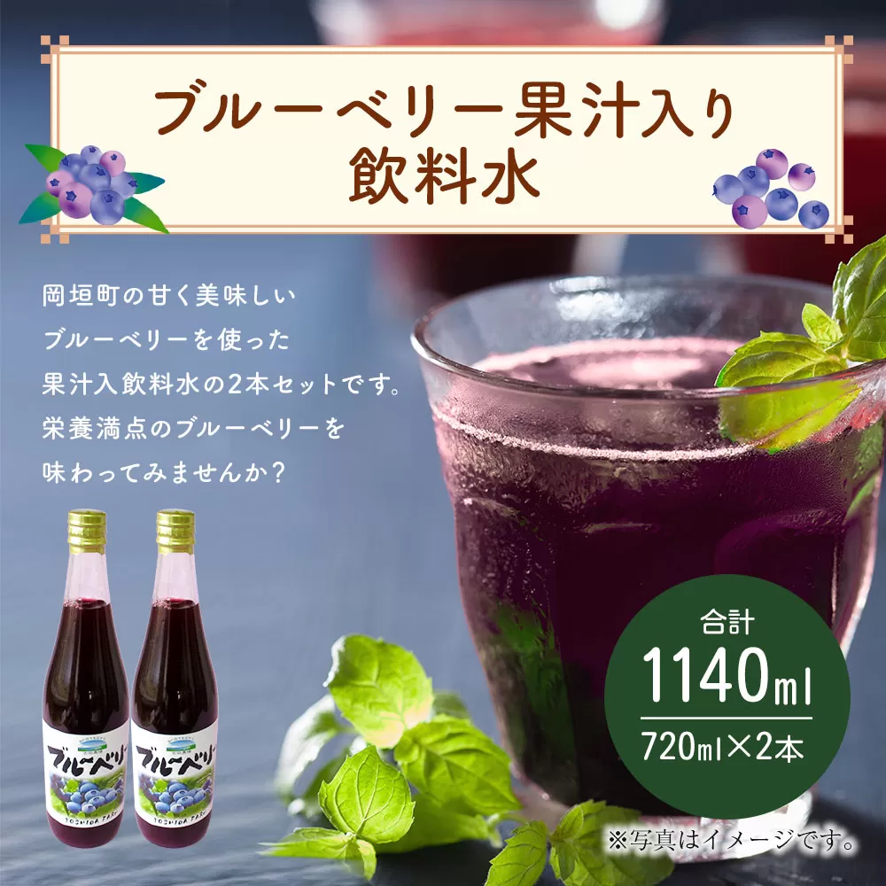 岡垣町産 ブルーベリー 果汁入り 飲料水 2本 セット