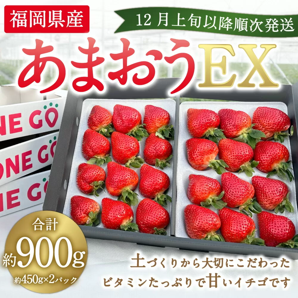 ギフト配送 福岡県産あまおう EX 約450g×2パック〈特別栽培〉岡垣町 ※北海道・沖縄・離島配送不可