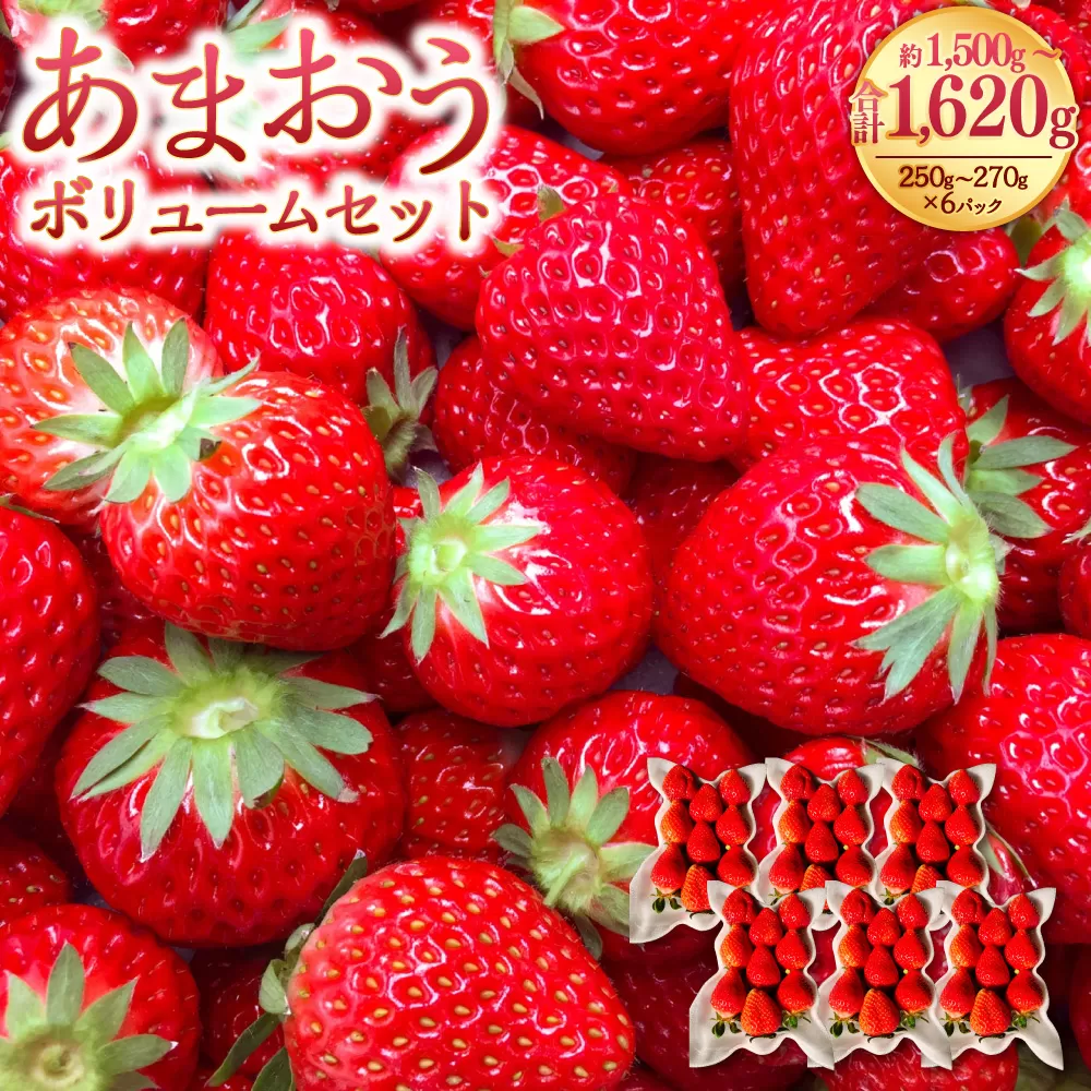 あまおうボリュームセット 6パック あまおう いちご イチゴ 苺 果物 くだもの フルーツ【2025年2月上旬～4月上旬発送予定】