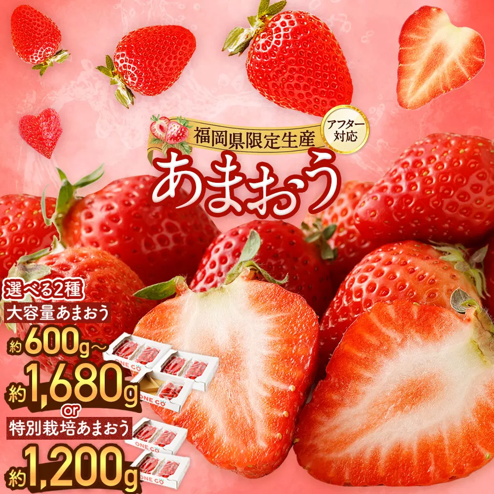 【予約受付】特別栽培 あまおう 1,200g 大粒 不揃い 選べる大容量あまおう （2L,グランデ,DX デラックス）減農薬 あまおう いちご 高級 いちごあまおう イチゴ 苺 フルーツ 果物 ふるさと納税くだもの amaou 福岡県 【2025年3月上旬～下旬発送予定】