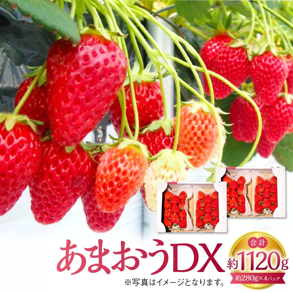 あまおうDX 約280g×4パック 合計約1120g デラックス いちご 苺 果物 くだもの フルーツ 【2025年2月上旬～4月上旬発送予定】