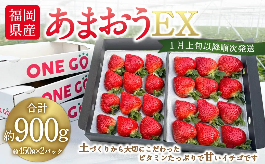 ギフト配送 福岡県産あまおう EX 約450g×2パック 〈特別栽培〉いちご イチゴ 苺 くだもの 果物 フルーツ 冷蔵 福岡県 【2025年1月上旬～3月下旬発送予定】