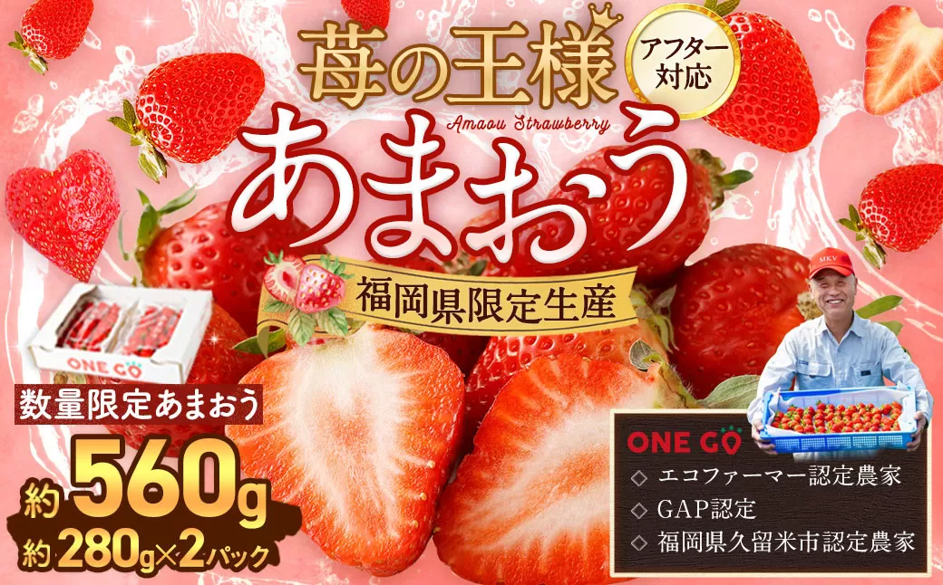 【予約受付】数量限定あまおう 560g 大粒 不揃い（2L,グランデ,DX デラックス）あまおう いちご 高級 いちごあまおう イチゴ 苺 フルーツ 果物 ふるさと納税くだもの amaou 福岡県 【2025年1月上旬～3月下旬発送予定】