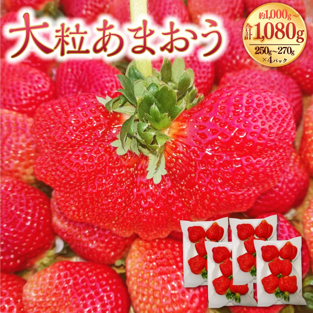 大粒あまおう 4パック あまおう いちご イチゴ 苺 果物 くだもの フルーツ【2025年2月上旬～4月上旬発送予定】