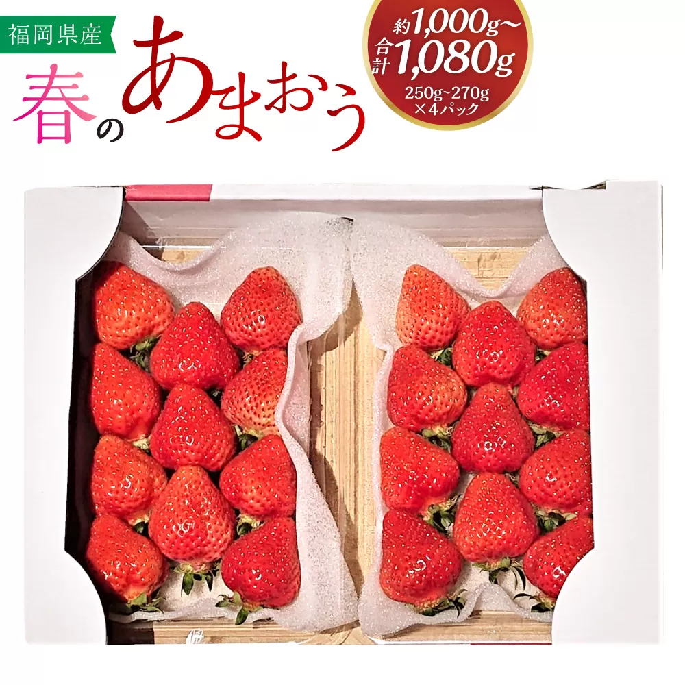 春のあまおう 2L・2A・G規格以上 約250-270g×4パック 苺 イチゴ あまおう くだもの 果物 フルーツ 【2025年3月上旬～4月下旬発送予定】