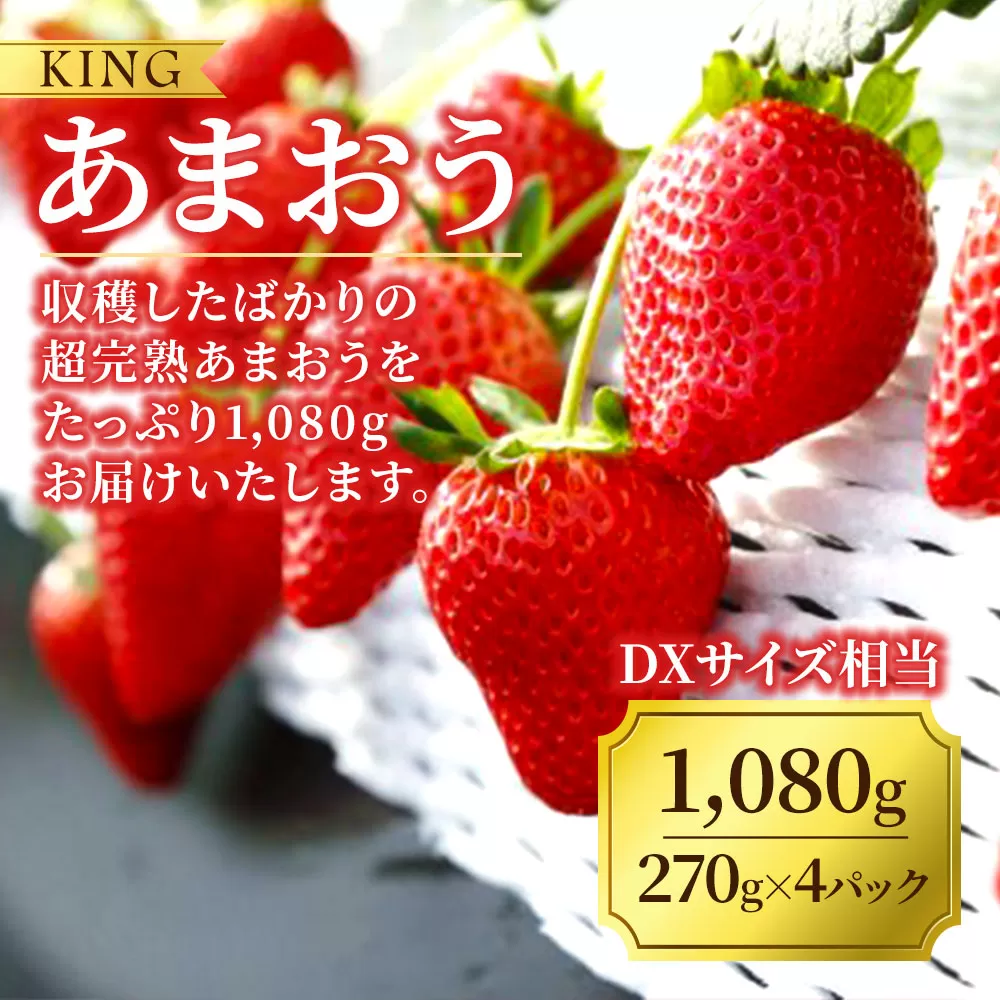 【数量限定】摘みたて！ 完熟！ KING あまおう 計1,080g（270g×4パック） DXサイズ相当 岡垣町