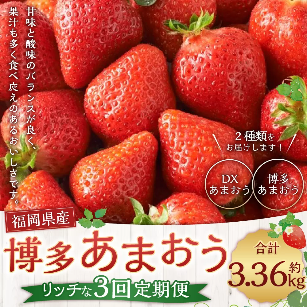 【3回定期便】博多あまおうリッチな定期便 いちご イチゴ 苺 【2024年12月上旬～2025年2月下旬発送予定】