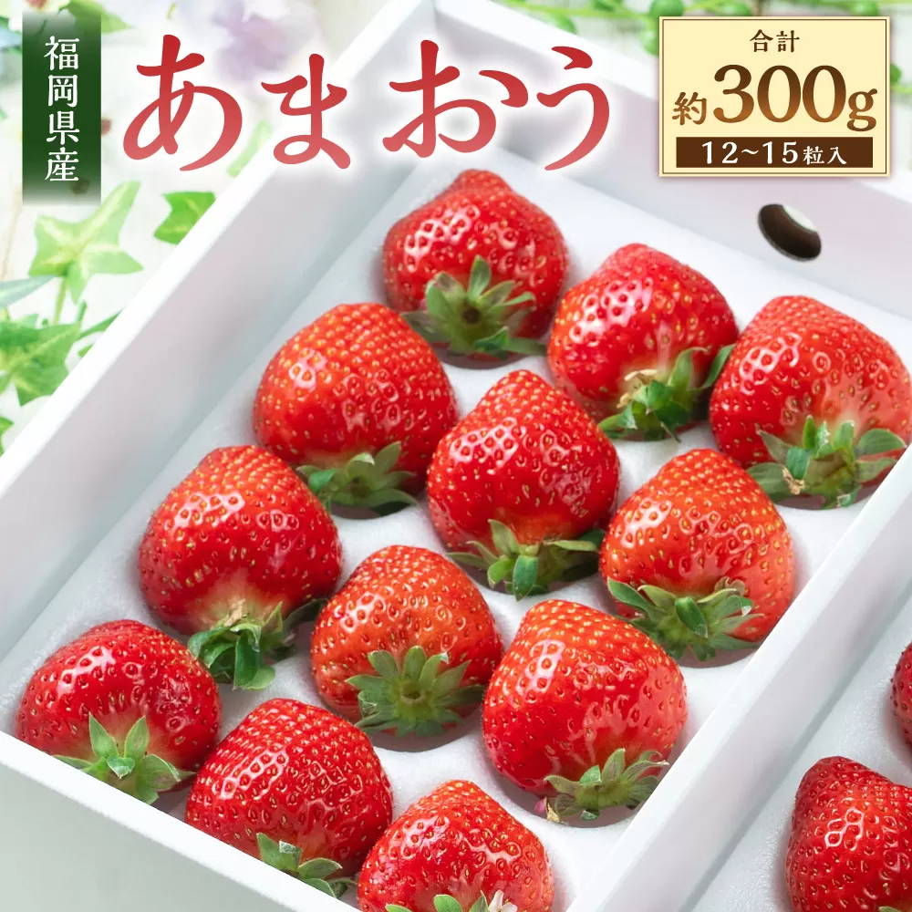 福岡県産あまおう ギフト箱 12-15粒 いちご 苺 イチゴ くだもの 果物 フルーツ 冷蔵 【2024年11月下旬～2025年3月下旬発送予定】