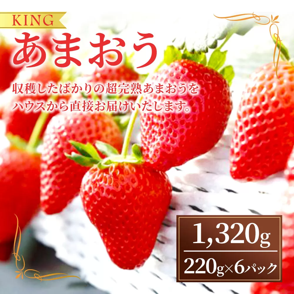 【数量限定】KINGあまおう L～DX 福岡県岡垣町産 1,320g(220g×6パック) 