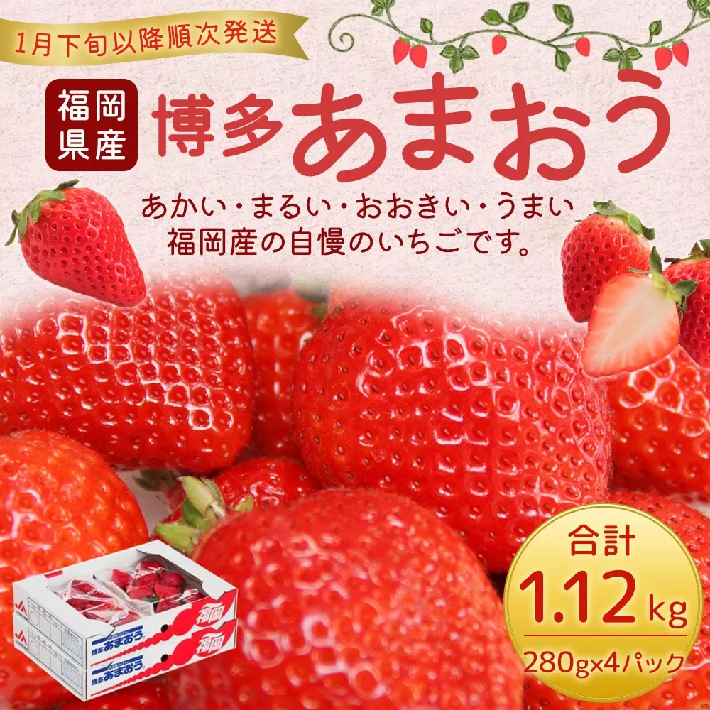 福岡県産 博多あまおう 約1.12kg（約280g×4パック入り） いちご 苺 【2025年1月下旬～3月下旬発送予定】